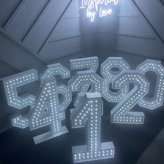 TWINKLE LED 4FT NUMBERS